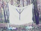 White Ring - Black Earth That Made Me [Vinyl New]