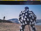 Pink floyd delicate sound of thunder record / lp