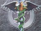 RARE Motley Crue 7' Picture Disc Dr Feelgood