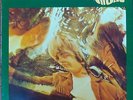 Billy Nicholls Would you believe /ultimate UK Pcych LP 1000ltd low price start