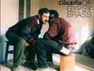 Best Of Gypsy Brass - Fanfare Ciocarlia (2009, Vinyl NEW)