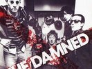 The Damned New Rose RED Vinyl Single 7inch NEAR MINT Stiff Recordings