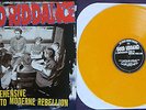 Good Riddance a comprehensive guide to moderne rebellion classic reissue nofx