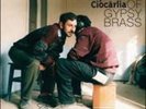 Best Of Gypsy Brass - FANFARE CIOCARLIA [LP]