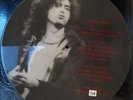 Led Zeppelin - White Summer - US LP - Picture Disc - Rock Solid Rec. no158-375