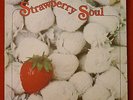 ORIGINAL RARE SOUL FUNK JAZZ BREAK LP BILLY MARTIN Strawberry Soul  Trans-World