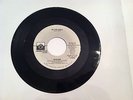 BLONDIE - 45 RPM - IN THE FLESH - STEREO - (RARE PROMO) - PRIVATE STOCK - N MINT