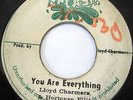 LLOYD CHARMERS You Are Everything bw Version 45 on SPLASH
