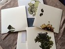 COIL ?– The Ape Of Naples / The New Backwards LIMITED VINYL BOXSET MINT