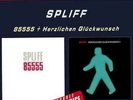 Spliff - 85555 / Herzlichen Glückwunsch (2xLP, RE, Comp) - Vinyl - 62815