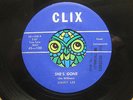 JIMMY LEE She's Gone  ORIG ROCKABILLY 45 NM- CLIX Detroit Michigan MP3