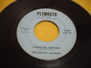 THE ROCKIN RAMRODS 45 rpm I want to be your man PLYMOUTH label /boston garage VG