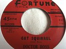DOCTOR ROSS   CAT SQUIRREL ** Re-issue FORTUNE 45 MINT-