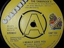 Rare Northern Soul - The Tomangoes - I Really Love You - UK Grapevine Promo