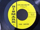 Rare Dallas Texas Garage THE BRIKS Can You See Me/Foolish Baby BISMARCK 1013 NM-