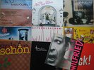 NDW Posten mit 11 LPs: ua.- GRAUZONE- NON PLUS ULTRA - FEE - WILFRIED- EXKURS- 