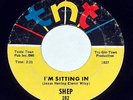 Original TNT 45 SHEP I'm Sitting In / Fool To Fool