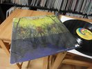 AMERICAN BLUES Do Their Thing 1968 TEXAS PSYCH LP Z Z TOP MINT IN SHRINK