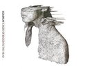 COLDPLAY A Rush Of Blood To The Head 180g VINYL LP NEW/SEALED