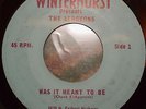 Private Garage 45-AEROVONS-Was It Meant To Be- WINTERHURST-Florida-BE-BOP-A-LULA