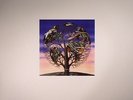TALK TALK - Laughing Stock (reissue) - Vinyl (LP)