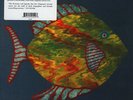 Michael Chapman - Fish (Vinyl LP - 2015 - US - Original)