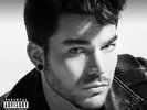 Adam Lambert The Original High 12 Inch Vinyl LP Record 2015 New Sealed