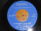 Rare MN ROCKABILLY 45 DANNY & THE GALAXIES DARBO LABEL #1595 IF YOU WANT TO BE 