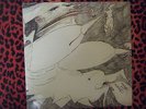 Rudimentary Peni - Echoes of Anguish RARE anarcho punk 12
