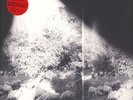 Godspeed You Black Emperor - Asunder, Sweet & (Vinyl LP - 2015 - US - Original)