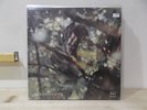 CLAUDIO ROCCHI ? Essenza LP EX/EX+  ITA