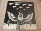 The Eagles w/Joe Walsh Welcome to the Late Show rare blue marbled wax 1976