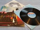 LP - Toyah - The Blue Meaning - Rock 1980 - Vinyl + Infomappe