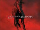Carl Orff : Carl Orff: Carmina Burana Vinyl 12