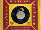 SAMMY SALVO Wolf Boy / My Perfect Love RCA VICTOR Country ROCKABILLY