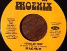 MAGNUM Evolution / Your Mind 45 RARE Funk, The Phoenix EX