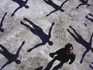 Muse - Absolution (Vinyl LP / Album) (New)