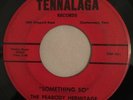 THE PEABODY HERMITAGE   TENNALAGA RECORDS    Orig. Garage Psych Fuzz