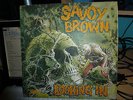 Savoy Brown ?– Looking In - Original Decca Label ?– SKL 5066- Matt Cover