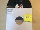 The World is A Beautiful Place Whenever If Ever Test Pressing out of 20 Vinyl