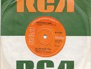 REGGAE  -- RIGHTEOUS FLAMES  -- LET THE MUSIC PLAY