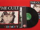 THE CULT 