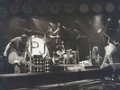 PEARL JAM VOLCOM 7