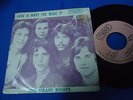 THE GRASS ROOTS - LOVE IS WATH YOU MAKE IT - PORTUGAL 45 SINGLE