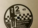 Elvis  costello  I can't stand up for falling down