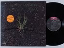 KENNY RANKIN Like a Seed LITTLE DAVID LP NM promo