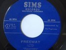 The Fugitives FREEWAY / FUGITIVE 1960 Tittyshaker Garage Rocker Instro SIMS  VG+