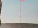 Wire;  Pink Flag