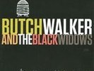 BUTCH WALKER & THE BLACK WIDOWS I LIKED IT BETTER WHEN YOU HAD NO HEART VINYL LP