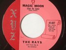 The Rays MAGIC MOON / LOUIE HOO HOO 1960 Doo Wop R&B Soul 45 on XYZ 45-607  VG+